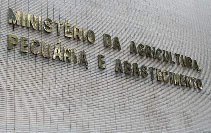 Ministério confirma casos de vaca louca em Mato Grosso e Minas Gerais