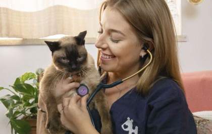 No ‘Dia do Veterinário’ lembre-se de manter os cuidados com a saúde do seu pet