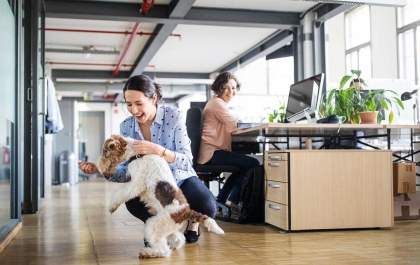 Os pets começam a invadir os condomínios comerciais