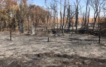 Proprietário é autuado em R$ 105 mil por queimadas em fazenda