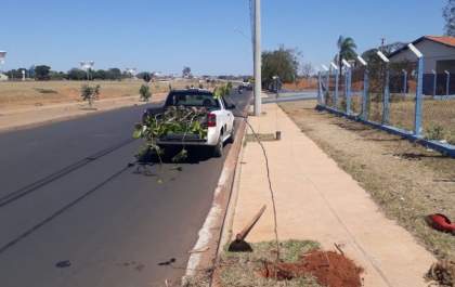 Guararapes implanta projeto 'Piloto de Floresta Urbana'