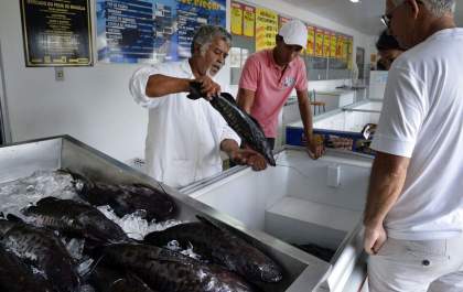 Doença “urina preta” pode estar relacionada a consumo de frutos do mar