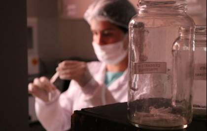 Instituto coleta DNA de presos condenados por crimes sexuais, homicídios, feminicídios e roubos