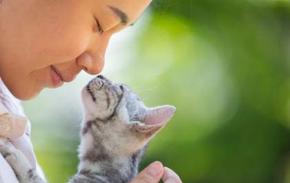 Campanha 'Dia Nacional de Adotar um Animal' completa 21 anos