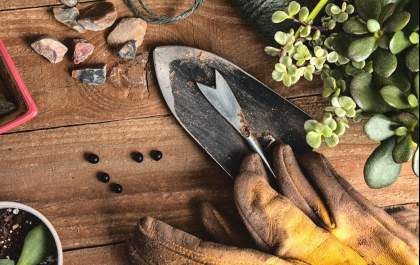 Birigui está com inscrições abertas para curso gratuito de jardinagem e poda