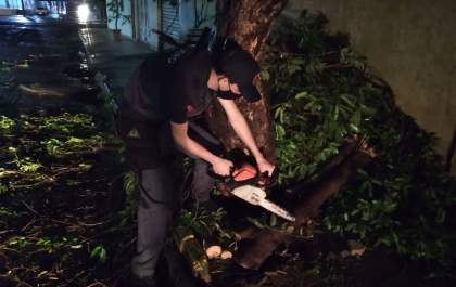 Bombeiros civis auxiliam na poda de árvores após temporal