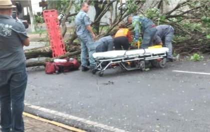Motociclista atingido por árvore sofre traumatismo craniano