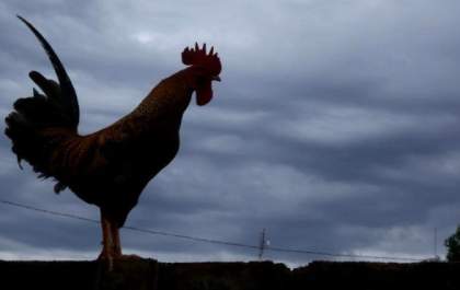 Domingo de chuva, ventos fortes e possível queda de granizo