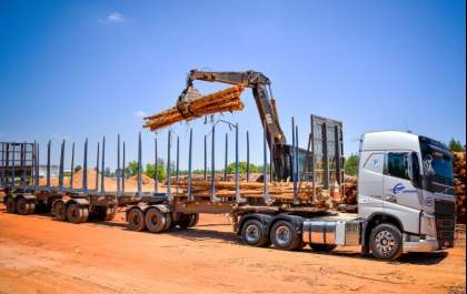 Equipe da Emex Brasil cita 4 dicas para facilitar o transporte de madeira
