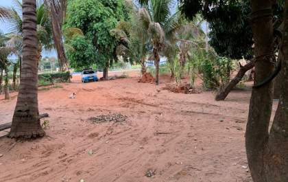 Policiais salvam idosos e cadeirante de ataque de enxame de abelhas em Inocência