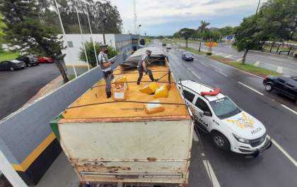 Polícia apreende mais de 12 toneladas de maconha em carreta&nbsp;