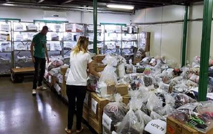 Leilão online da Sefaz tem mais de 500 lotes de produtos e está com lances abertos