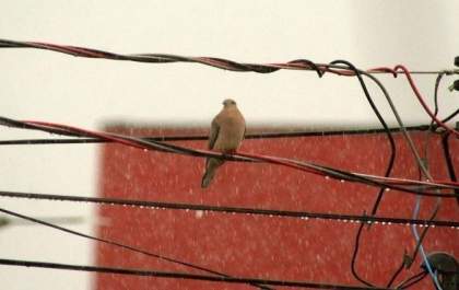Feriado da criação do Estado de Mato Grosso do Sul será marcado por mais chuva