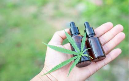 Anvisa facilita acesso à cannabis medicinal e formação médica é cada vez mais necessária