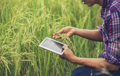 Aumentar a Eficiência de Sua Fazenda por meio de Tecnologia e Inovação