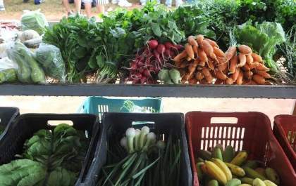 Dia Mundial do Vegano é celebrado neste 1º de novembro