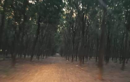 Polícia Civil de Brejo Alegre identifica suspeito de ter matado funcionário da Prefeitura de Araçatuba