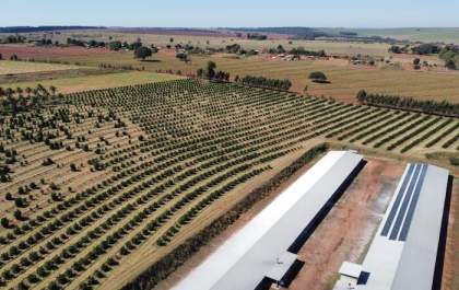 Sicredi registra crescimento de mais de 110% no financiamento para instalação de painéis de energia solar