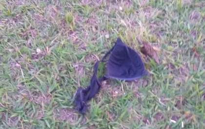Acusado de matar mulher estrangulada em Birigui volta a negar estupros