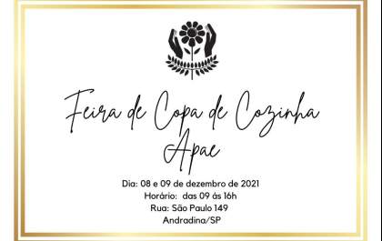 Apae Andradina realiza tradicional Feira de Copa e de Cozinha