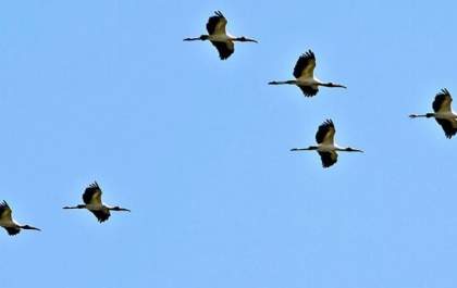 Quarta-feira de céu claro e temperaturas elevadas em Mato Grosso do Sul