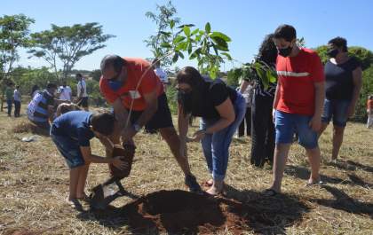 Prefeitura de Birigui comemora aniversário da cidade com plantio de 110 mudas de árvores