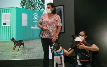 Cidades da região vão ganhar consultórios veterinários públicos