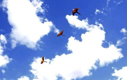 Tempo seco e quente predomina neste domingo em Mato Grosso do Sul
