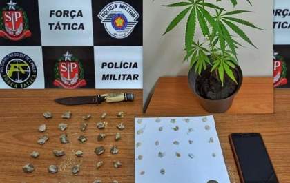 Dupla é presa com crack e pé de maconha em Araçatuba