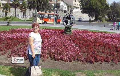 Professora Inis Aparecida Queiroz, morre em acidente na MS-141