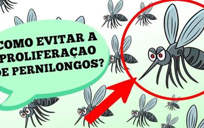 Como evitar a proliferação de pernilongos