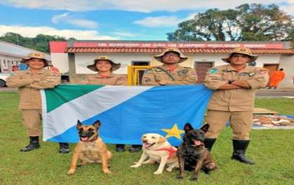 Cães com mais de 20 certificações reforçam atuação do Corpo de Bombeiros em Mato Grosso do Sul