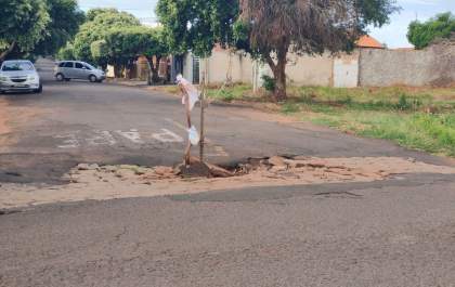 Moradores colocam galhos para sinalizar buraco em rua