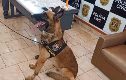 Polícia faz operação contra o tráfico de drogas em Piacatu
