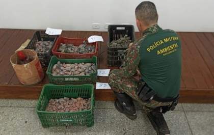 Com R$ 3 milhões em multas, PMA autuou 99 pessoas por crimes contra fauna em 2021