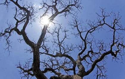 Domingo ensolarado, seco e quente em todas as áreas de Mato Grosso do Sul