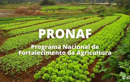 Carteira de crédito do Pronaf chega a R$ 50 bilhões no Banco do Brasil