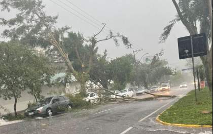 Chuva causa alagamentos e quedas de árvores em Araçatuba