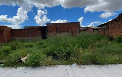 Prefeitura notifica proprietários a fazerem a limpeza dos terrenos