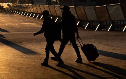 Borboletas migrantes