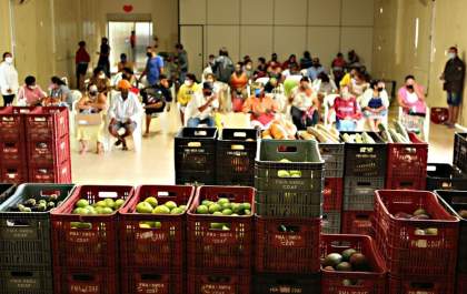 Programa distribui mais de 18 mil quilos de alimentos em Araçatuba
