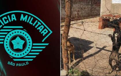 Homem é preso por abandonar animais em situação precária