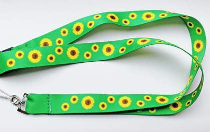 Câmara institui o uso do “colar de girassol” em Araçatuba