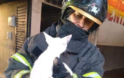 Corpo de Bombeiros é acionado para conter incêndio em casa no Guanabara&nbsp;