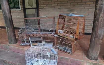 Homem é autuado em R$ 7 mil por tráfico de animais silvestres