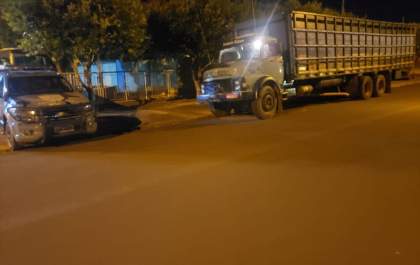 Gados provenientes de estelionato em fazenda em Três Lagoas são recuperados pela PM