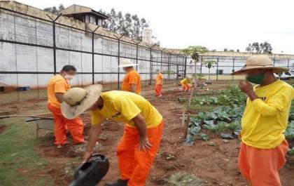 Trabalho no sistema penitenciário gera economia de R$ 44 milhões por ano