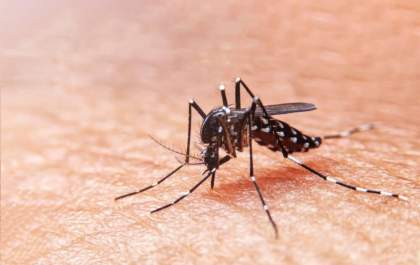 Vigilância investiga morte suspeita por dengue em Araçatuba