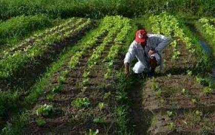 Agricultores familiares do Estado receberão posse definitiva da terra