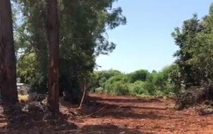 Prefeitura de Birigui pode ser multada por crime ambiental na ampliação do cemitério da Consolação